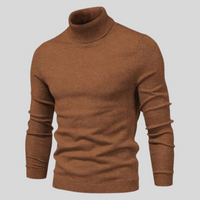 James | Stylish Turtleneck Jumper Brown / S Sweaters