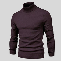 James | Stylish Turtleneck Jumper Sweaters